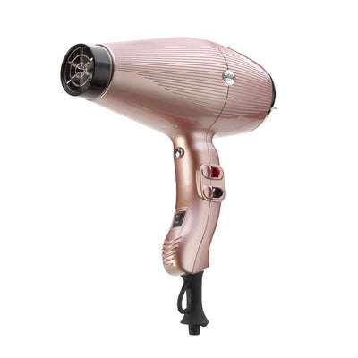 Aria Professional Dual Ionic Ultralight 6-Heat/Speed Hair Dryer - Rose