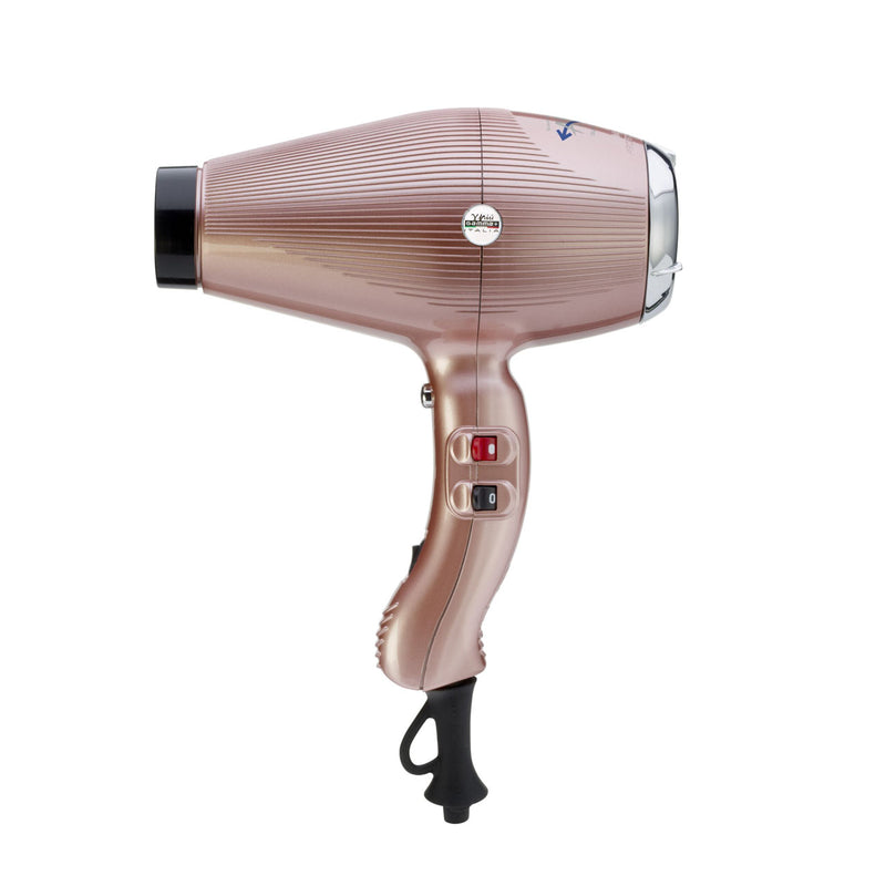 Aria Professional Dual Ionic Ultralight 6-Heat/Speed Hair Dryer - Rose