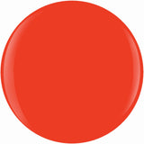 50649303613749_1